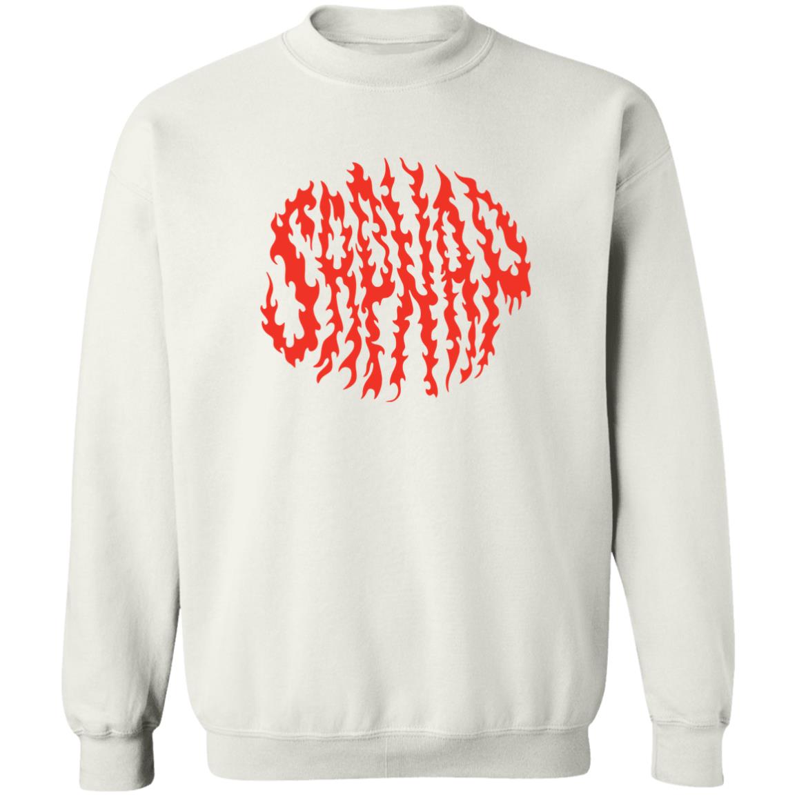 Sapnap Merch Sapnap Flame Name T-Shirt Hoodie Sweatshirt - Teechipus