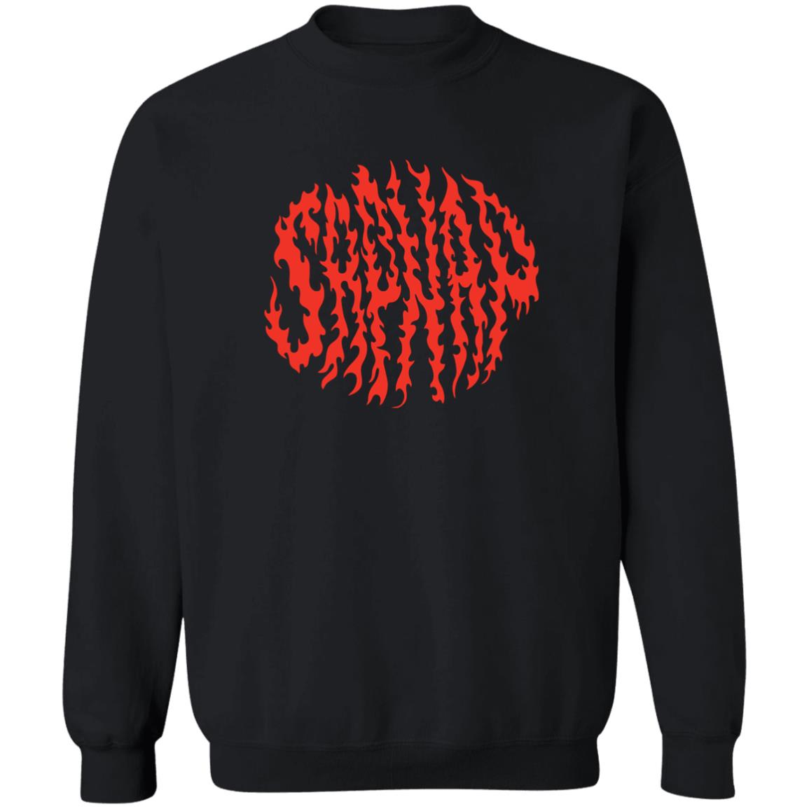 Sapnap Merch Sapnap Flame Name T-Shirt Hoodie Sweatshirt - Teechipus