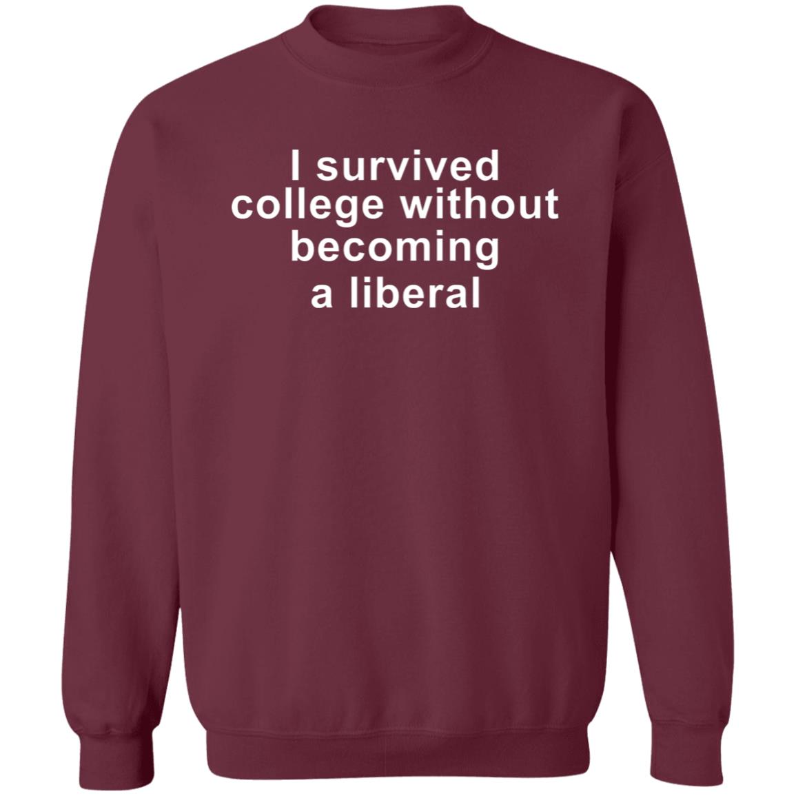 I Survived College Without Becoming A Liberal Shirt Hoodie Sweatshirt - Teechipus
