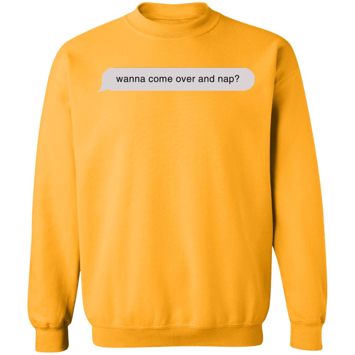 Wanna Come Over And Nap Shirt My Kind Of Relationship Wanna Come Over And Nap Shirt Hoodie Sweatshirt - Teechipus