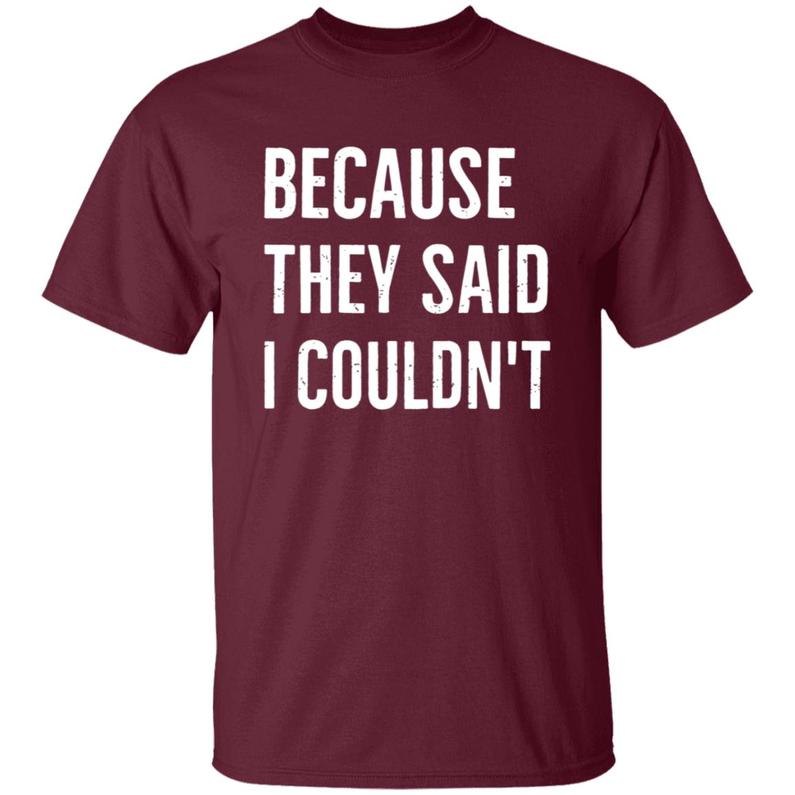 Because They Said I Couldn't Shirt Brandon Brooks Because They Said I Couldn't Shirt Hoodie Sweatshirt - Teechipus