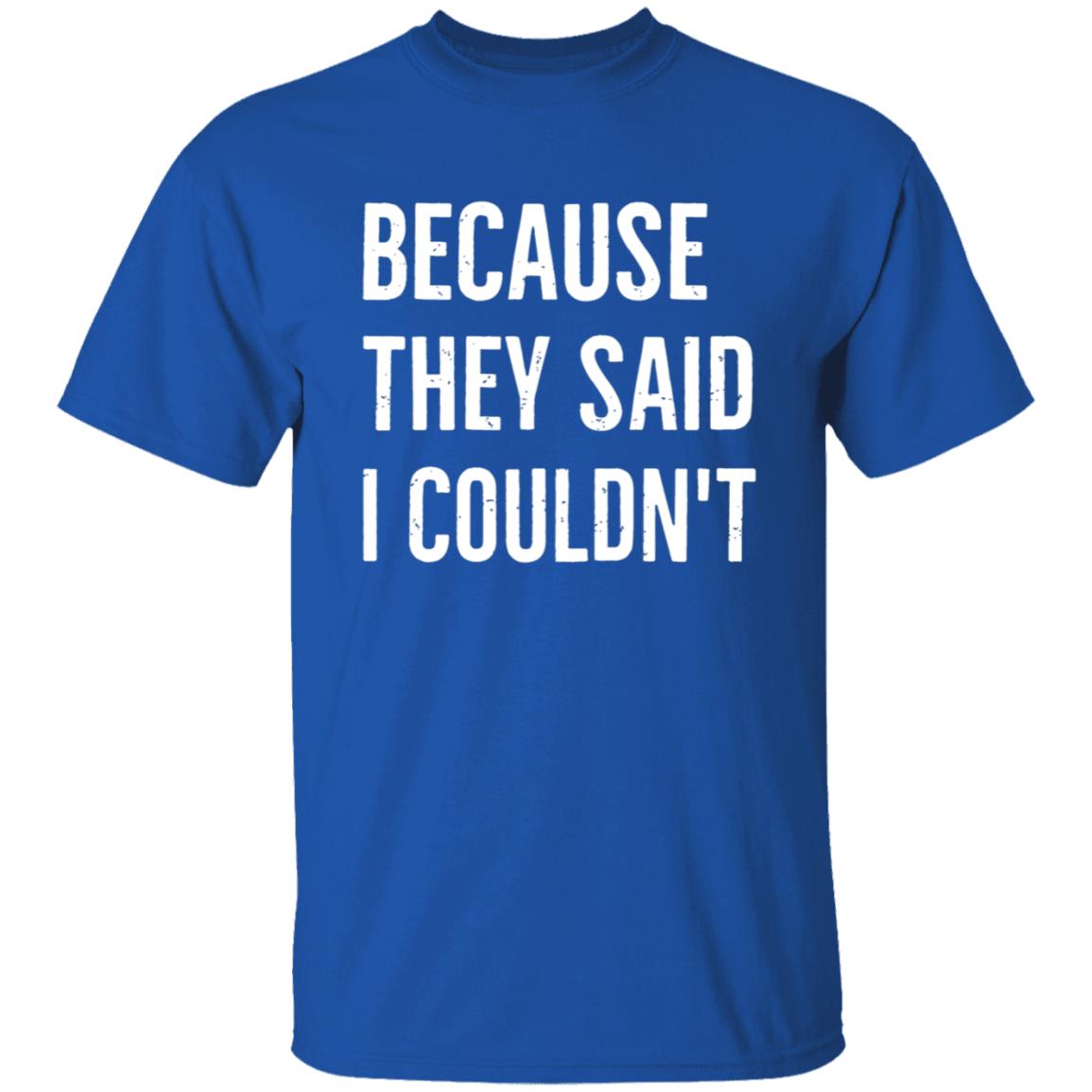 Because They Said I Couldn't Shirt Brandon Brooks Because They Said I Couldn't Shirt Hoodie Sweatshirt - Teechipus