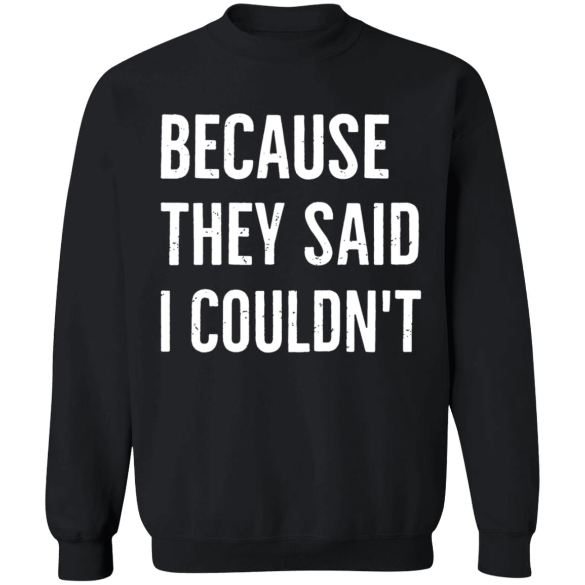 Because They Said I Couldn't Shirt Brandon Brooks Because They Said I Couldn't Shirt Hoodie Sweatshirt - Teechipus