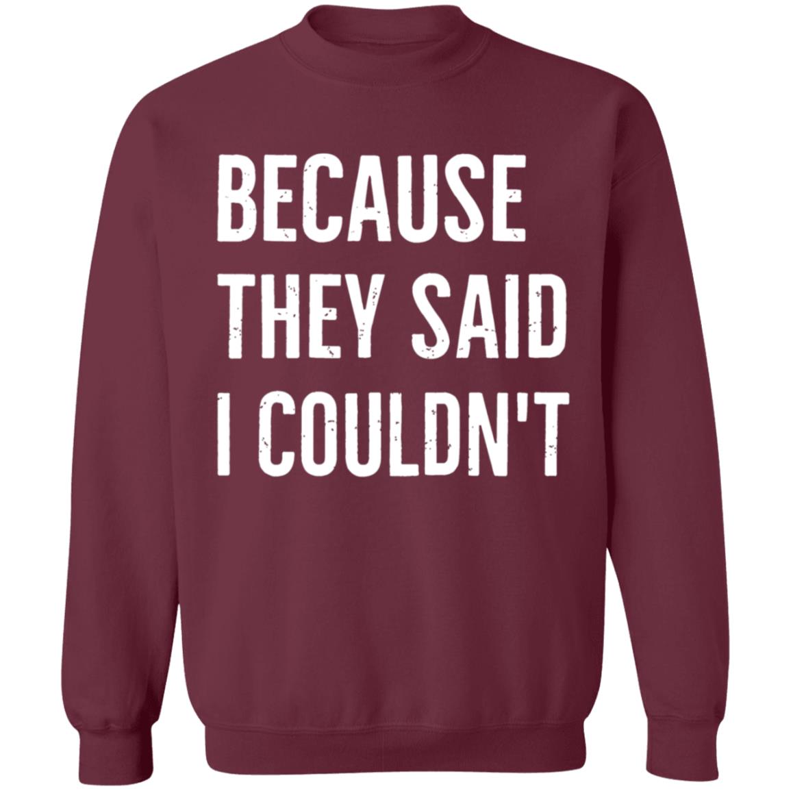 Because They Said I Couldn't Shirt Brandon Brooks Because They Said I Couldn't Shirt Hoodie Sweatshirt - Teechipus