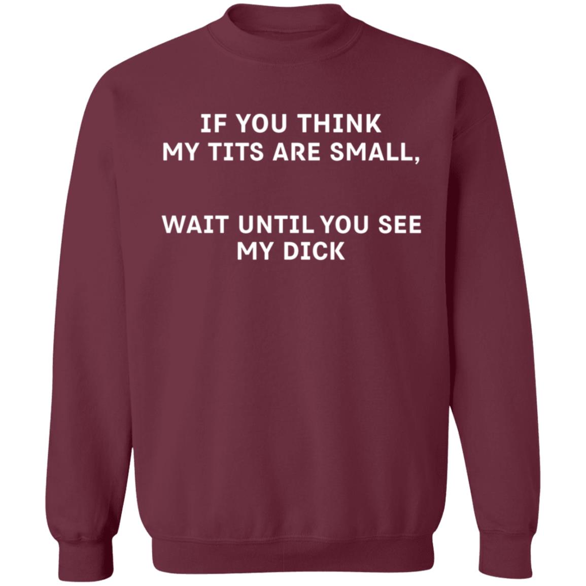 If You Think My Tits Are Small  Wait Until You See My Dick Shirt Hoodie Sweatshirt - Teechipus