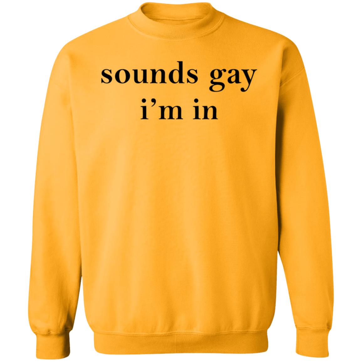 Sounds Gay I'm In Shirt Bea Sounds Gay I'm In Shirt Hoodie Sweatshirt - Teechipus