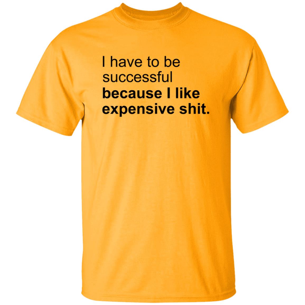 I Have To Be Successful Because I Like Expensive Shit Shirt - Teechipus