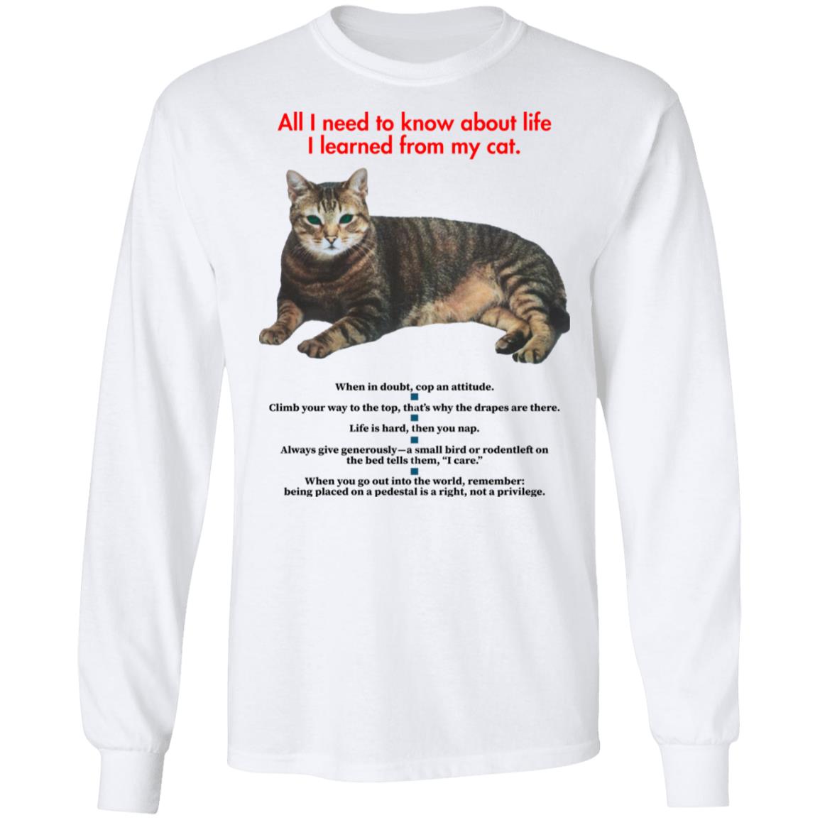 All I Need To Know About Life I Learned From My Cat Shirt - Teechipus