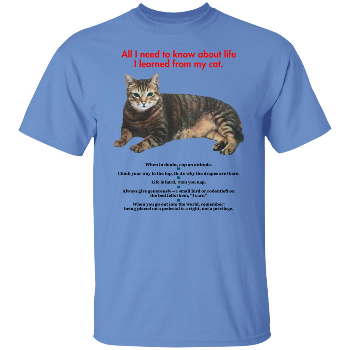 All I Need To Know About Life I Learned From My Cat Shirt - Teechipus