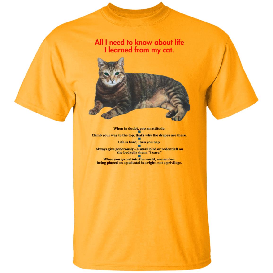 All I Need To Know About Life I Learned From My Cat Shirt - Teechipus