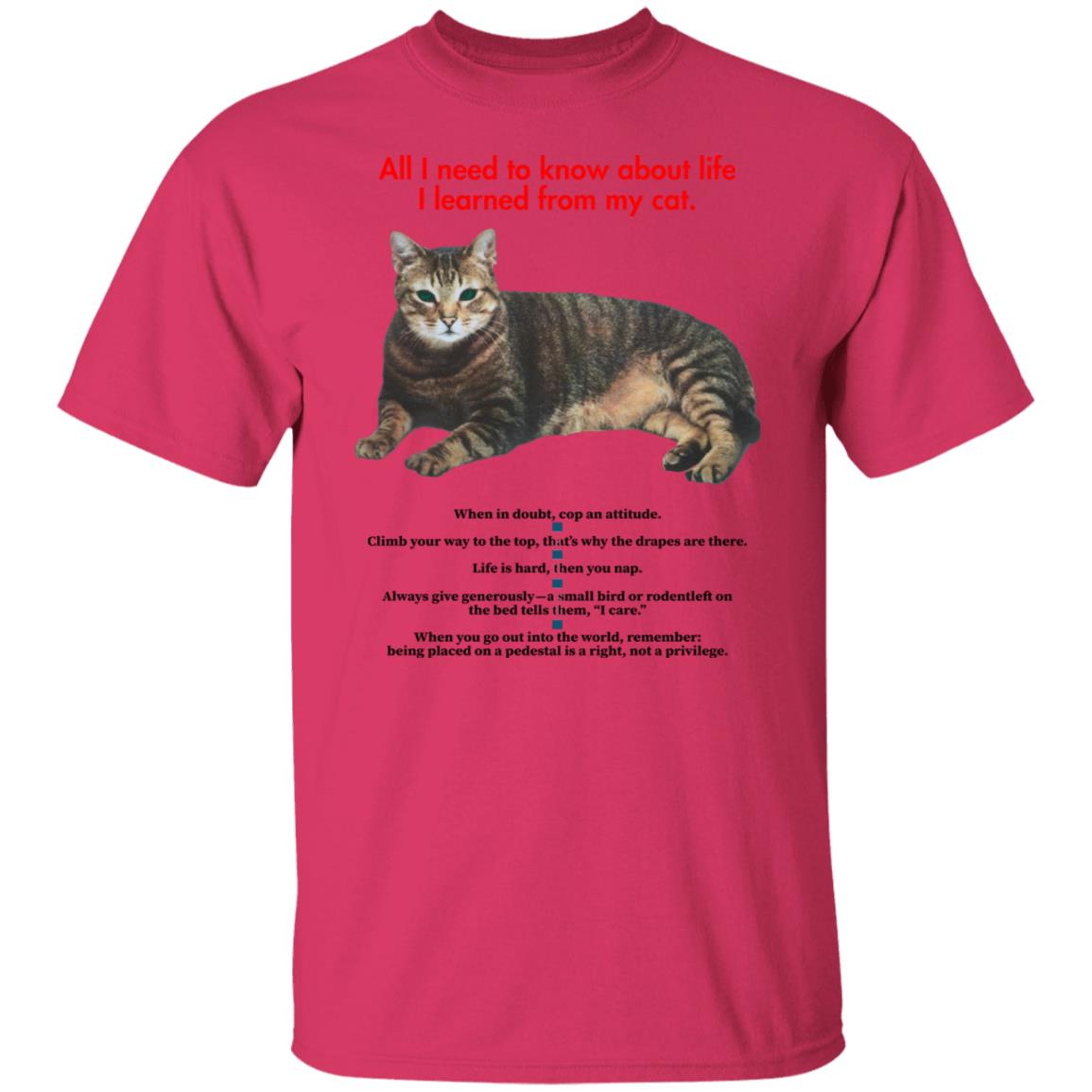 All I Need To Know About Life I Learned From My Cat Shirt - Teechipus