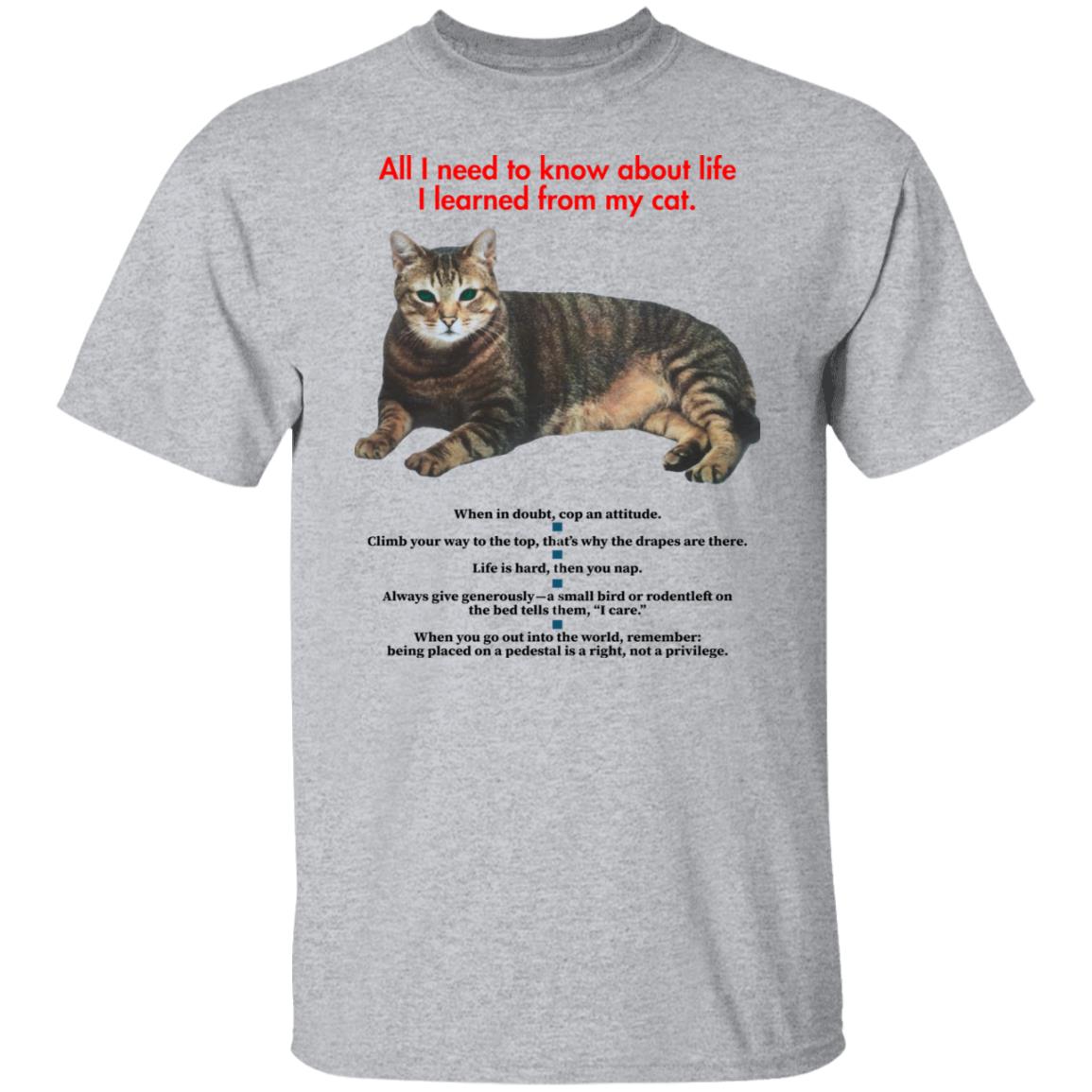 All I Need To Know About Life I Learned From My Cat Shirt - Teechipus