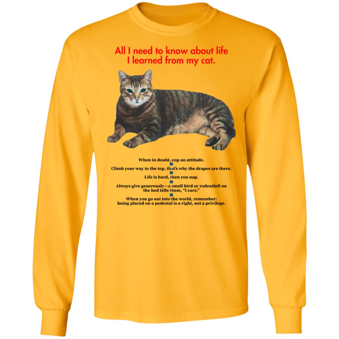 All I Need To Know About Life I Learned From My Cat Shirt - Teechipus