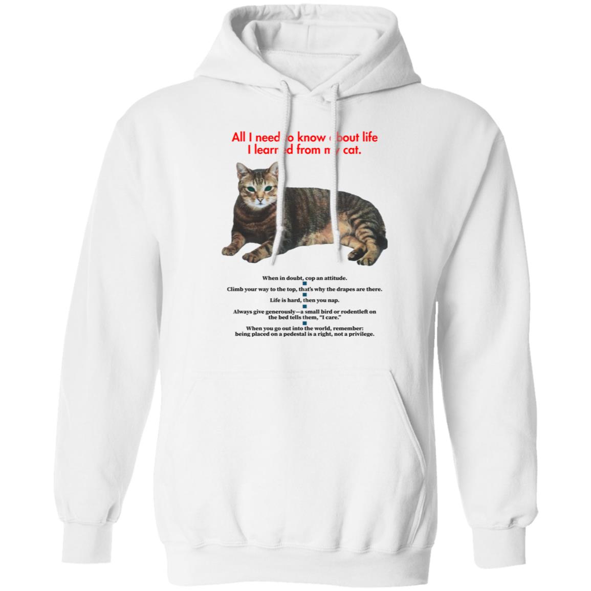 All I Need To Know About Life I Learned From My Cat Shirt - Teechipus