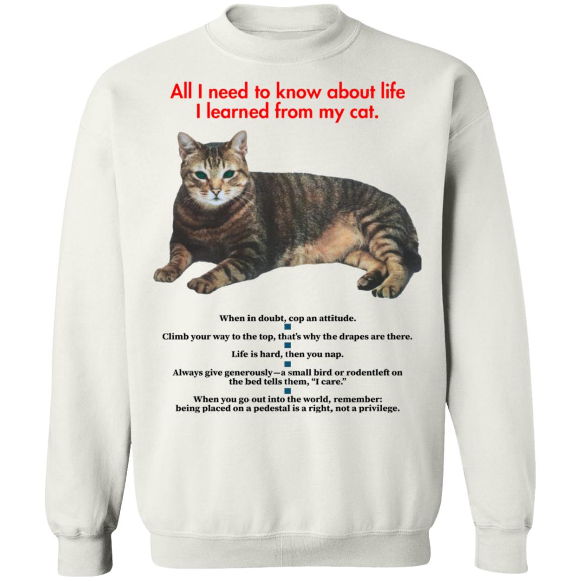 All I Need To Know About Life I Learned From My Cat Shirt - Teechipus