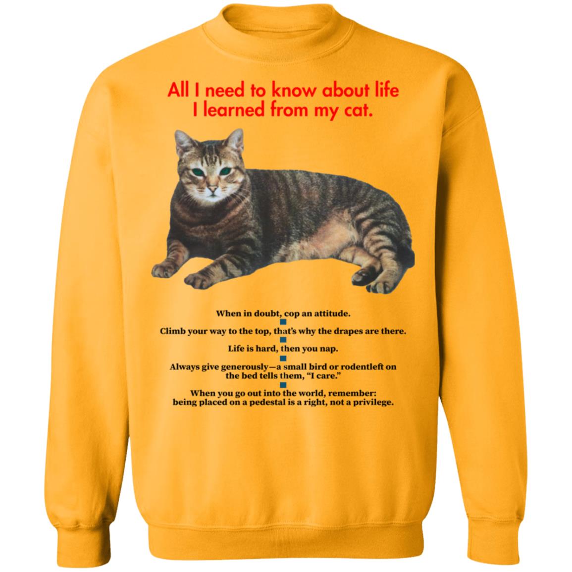 All I Need To Know About Life I Learned From My Cat Shirt - Teechipus