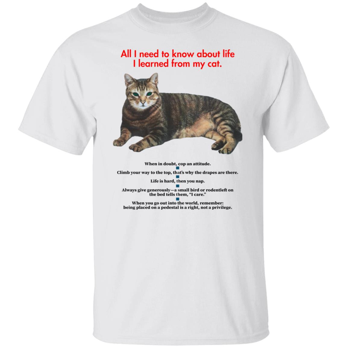 All I Need To Know About Life I Learned From My Cat Shirt - Teechipus