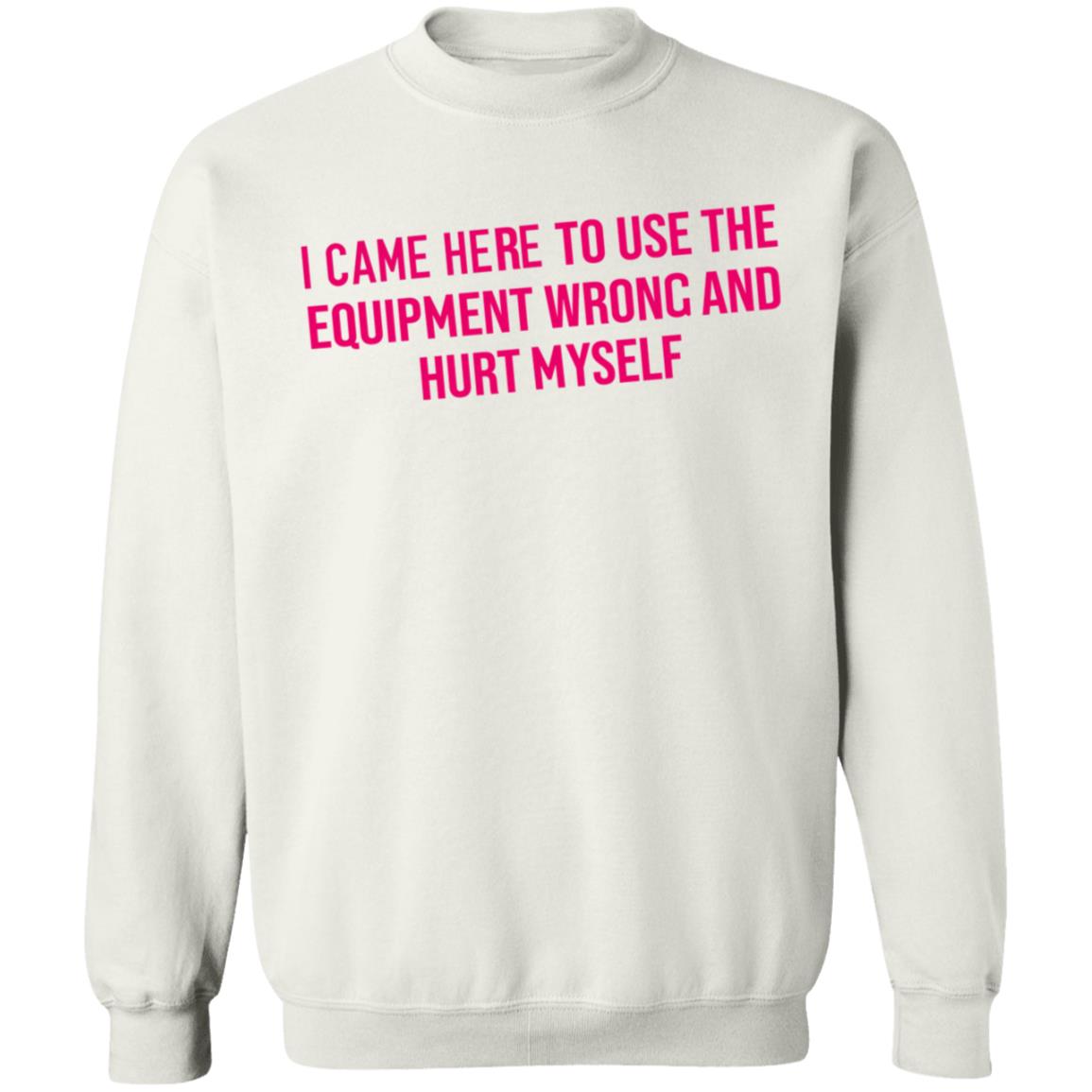 I Came Here To Use The Equipment Wrong And Hurt Myself Shirt - Teechipus