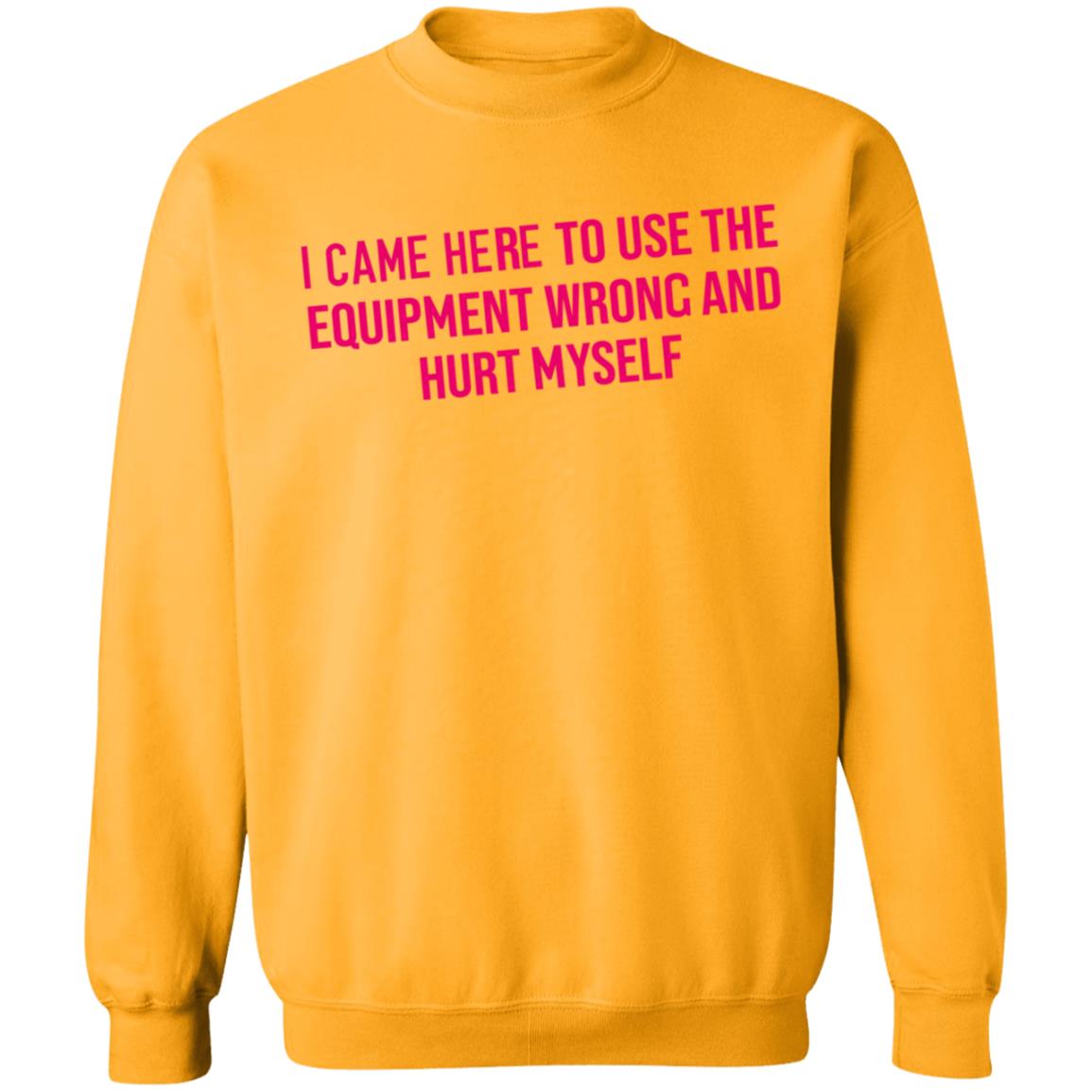 I Came Here To Use The Equipment Wrong And Hurt Myself Shirt - Teechipus