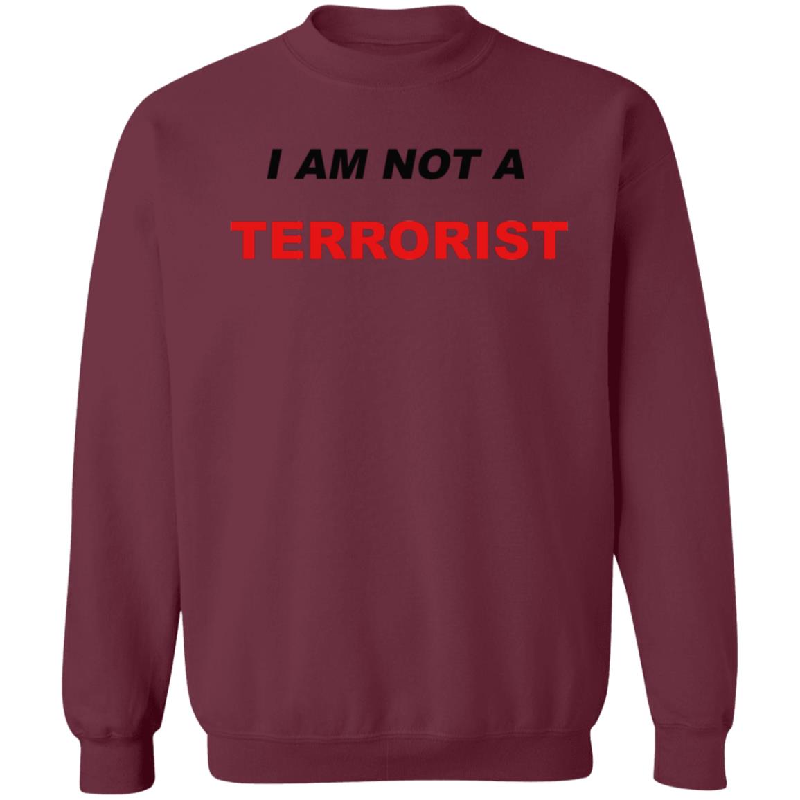 I Am Not A Terrorist Shirt - Teechipus