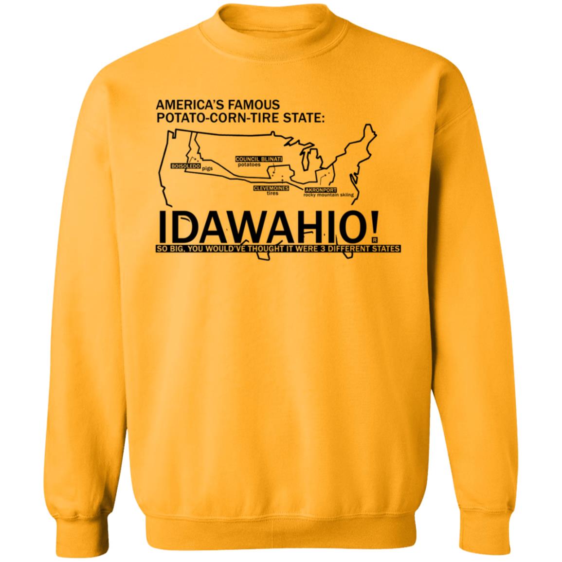 Ray Gun Store Idawahio Shirt - Teechipus