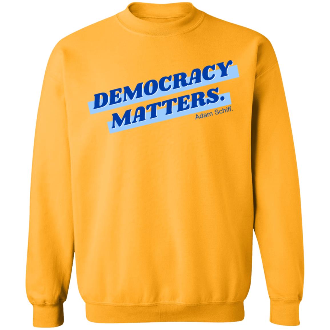 Democracy Matters Shirt - Teechipus