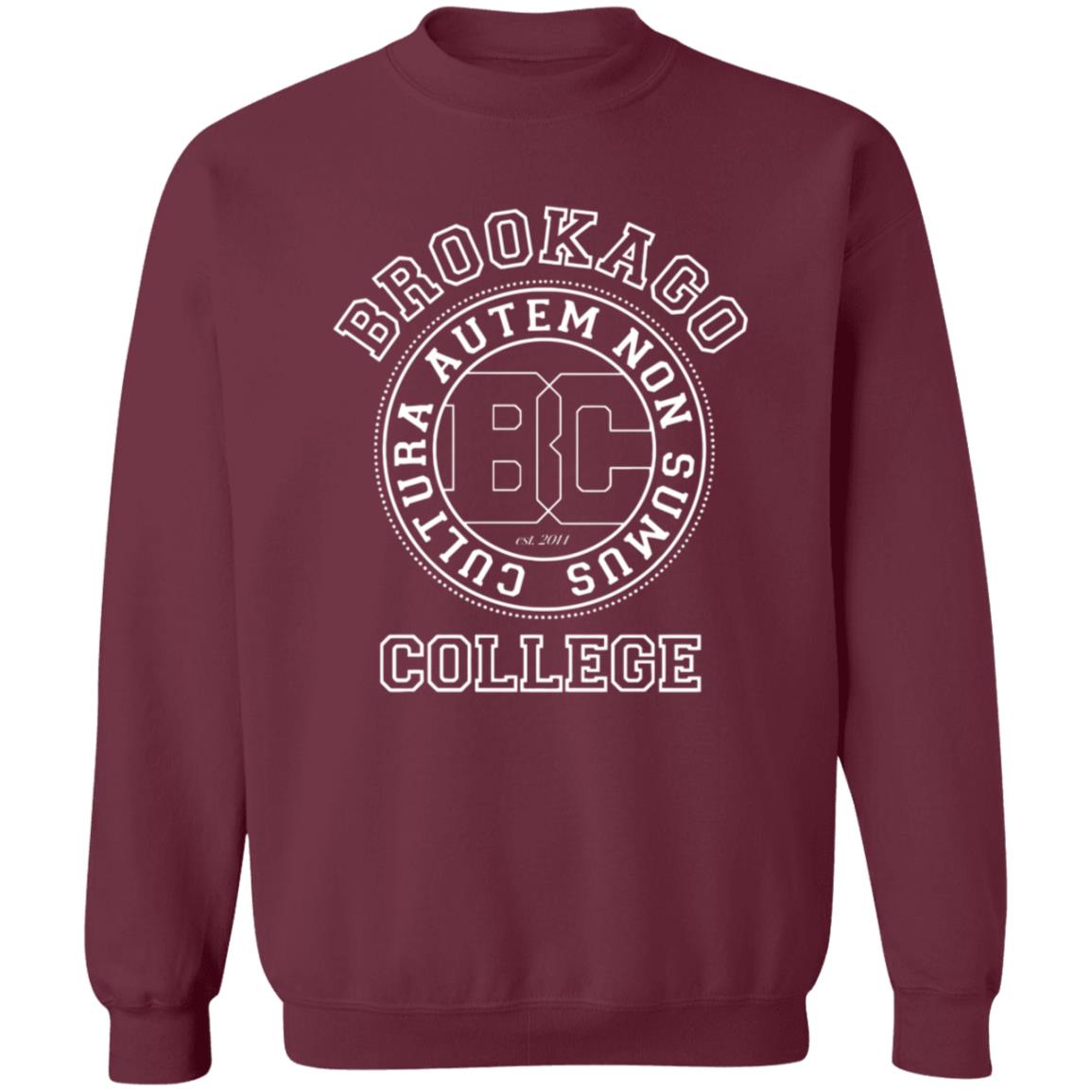 Brookago College Shirt Parris Brookago College T Shirt Hoodie Sweatshirt - Teechipus