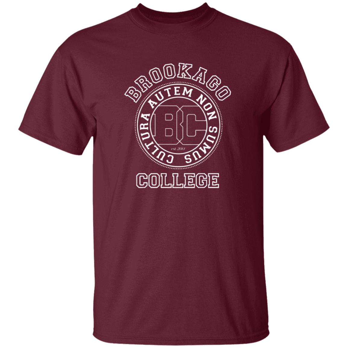 Brookago College Shirt Parris Brookago College T Shirt Hoodie Sweatshirt - Teechipus