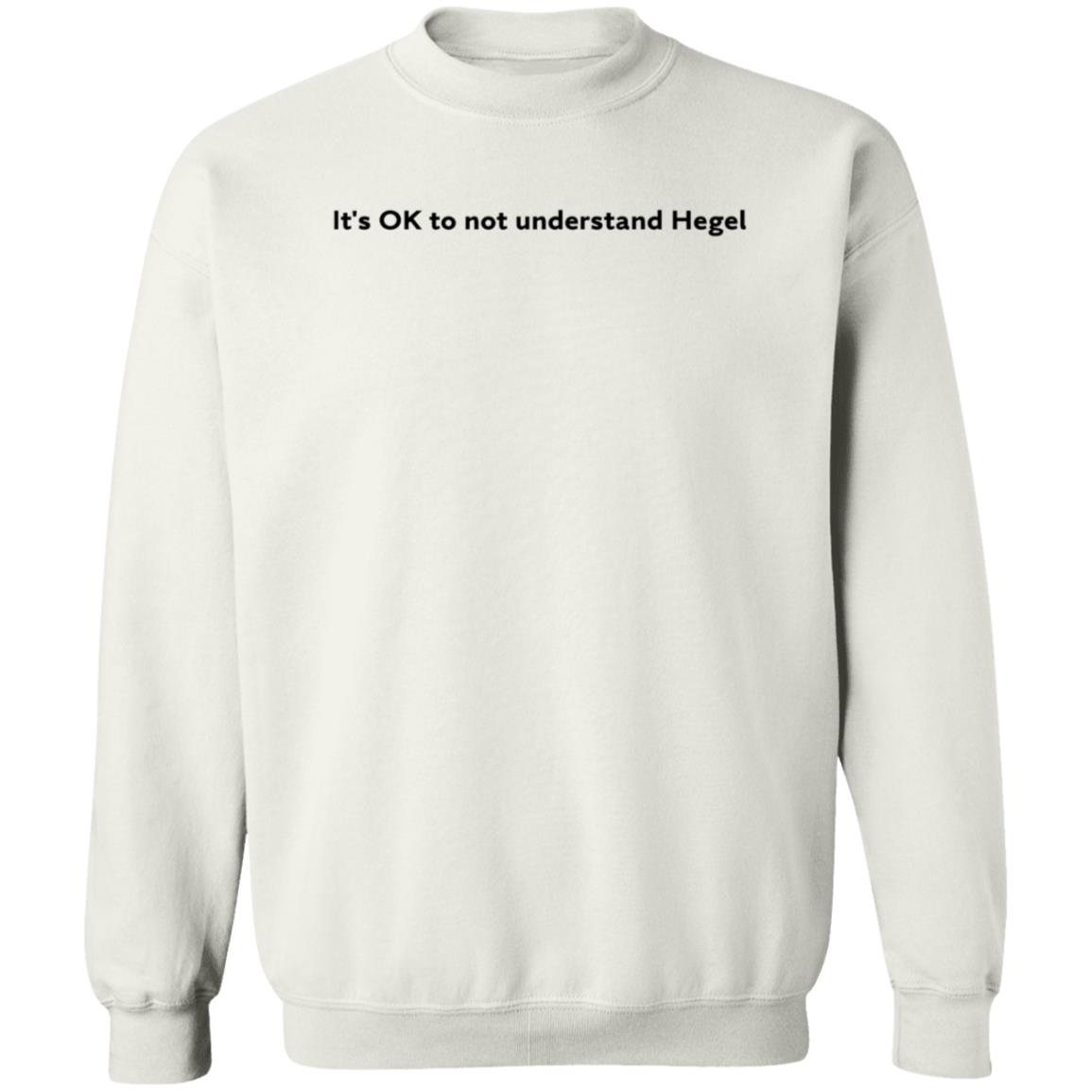 It's Ok To Not Understand Hegel Shirt Hoodie Sweatshirt - Teechipus