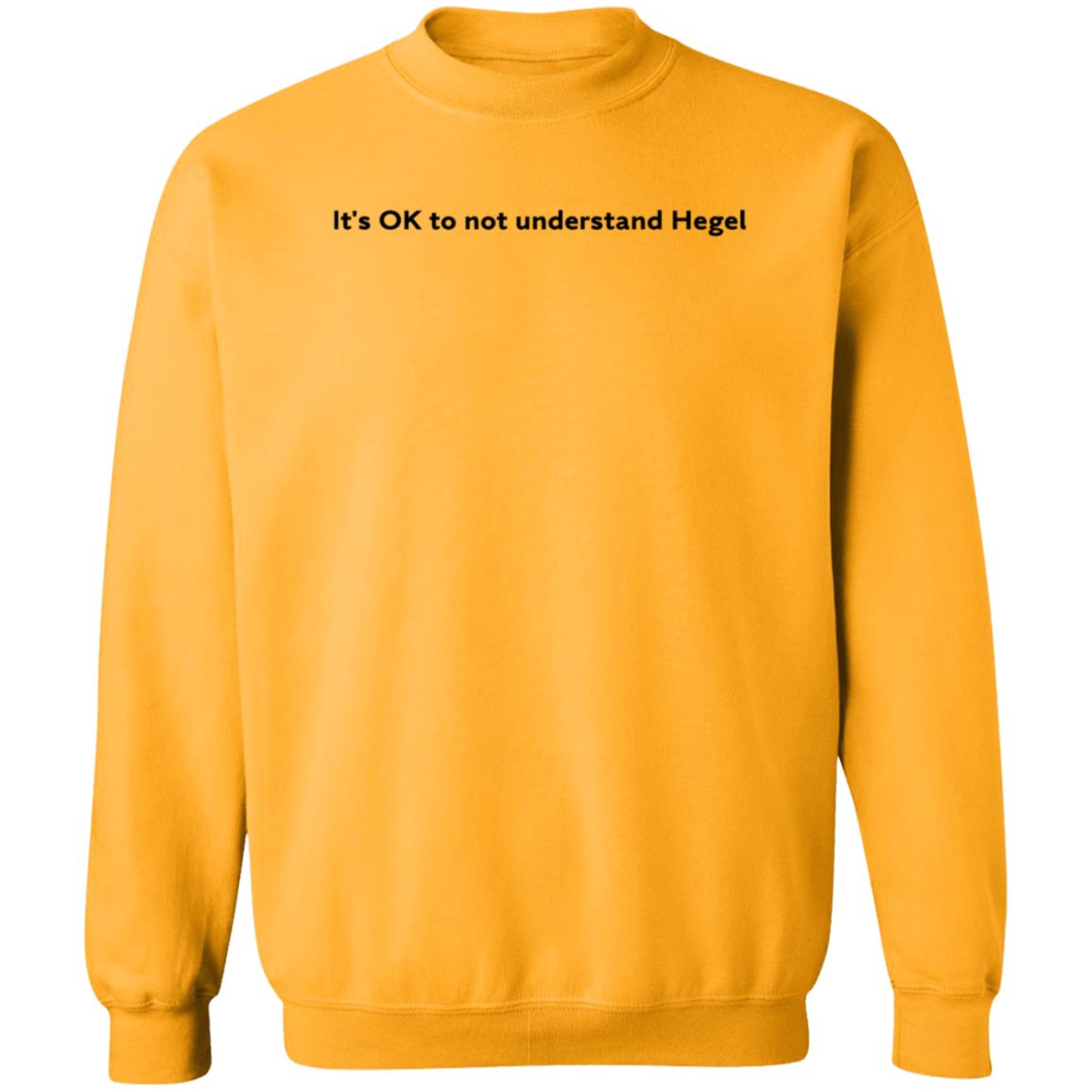 It's Ok To Not Understand Hegel Shirt Hoodie Sweatshirt - Teechipus