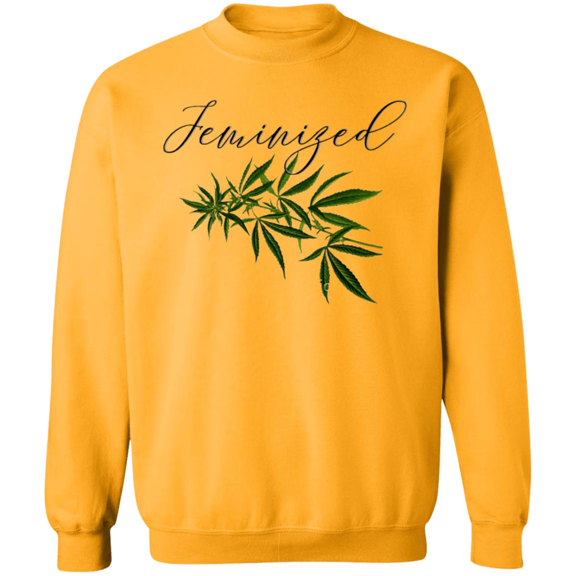 Feminized Shirt U Winstonisdope Feminized Shirt Hoodie Sweatshirt - Teechipus