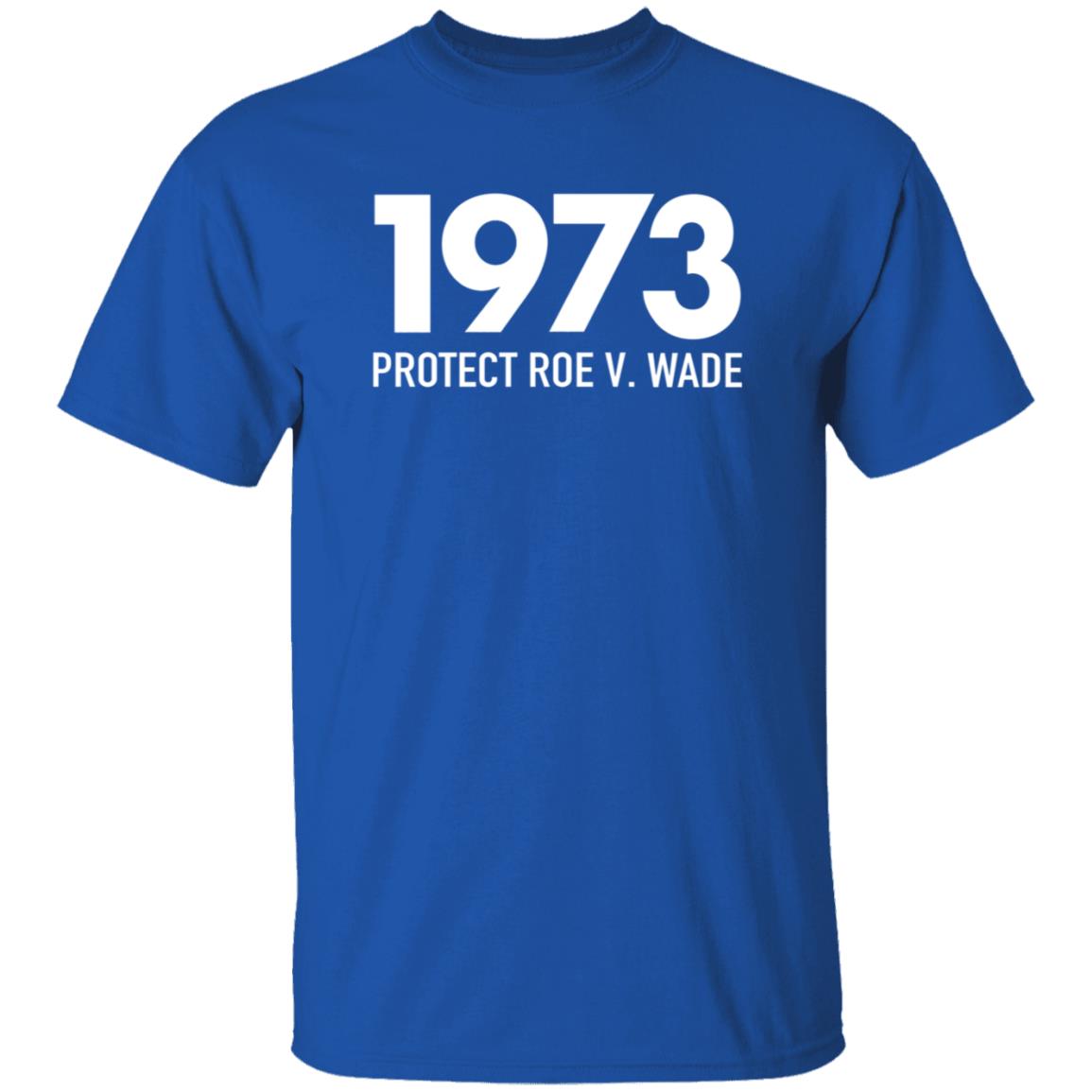 1973 Protect Roe V Wade Shirt Aimee Carrero Shirt Hoodie Sweatshirt - Teechipus