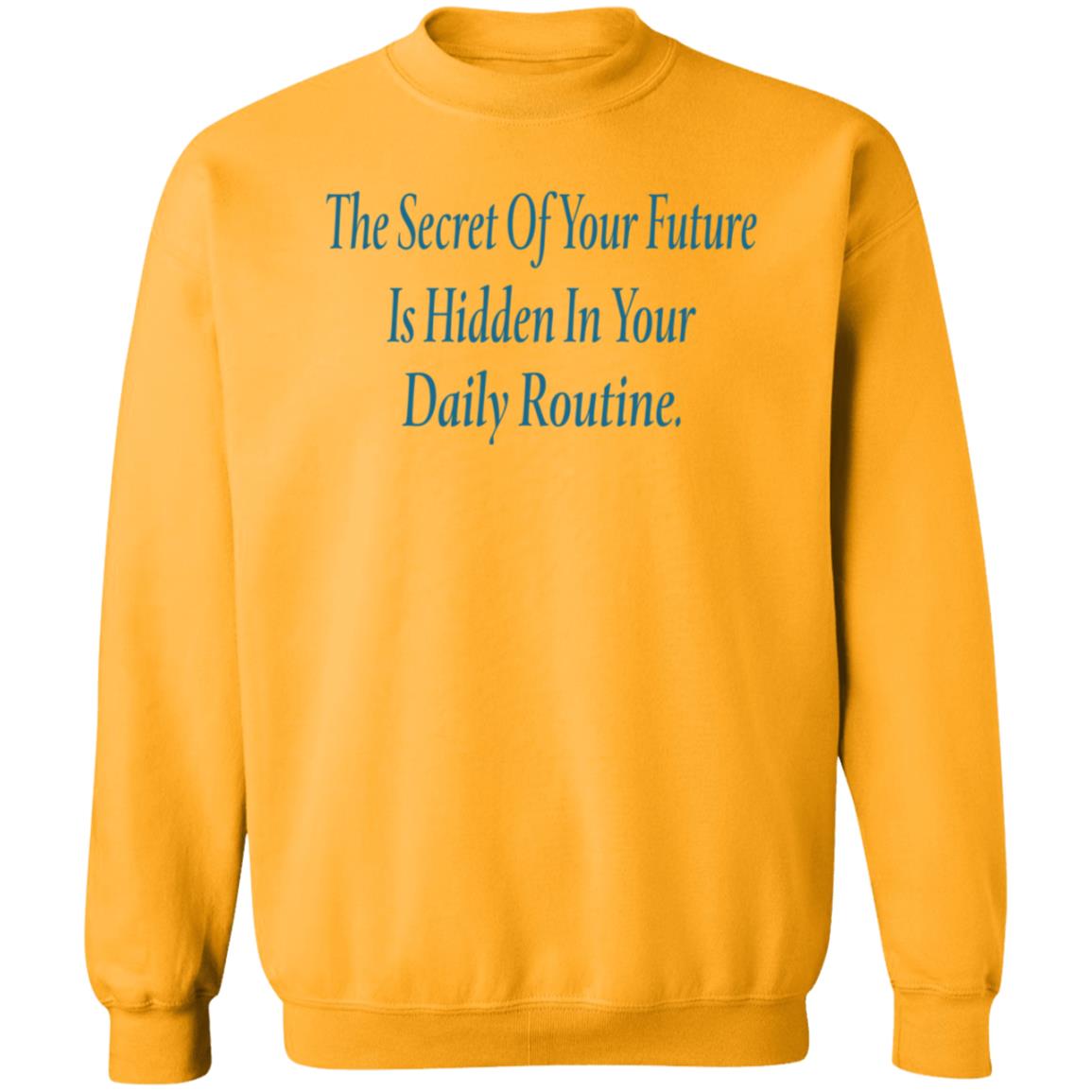 The Secret Of Your Future Is Hidden In Your Daily Routine Shirt Hoodie Sweatshirt - Teechipus