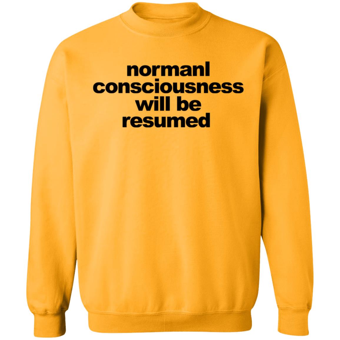 Normal Consciousness Will Be Resumed Shirt Lesley-Ann Brandt Lucifer shirt - Teechipus