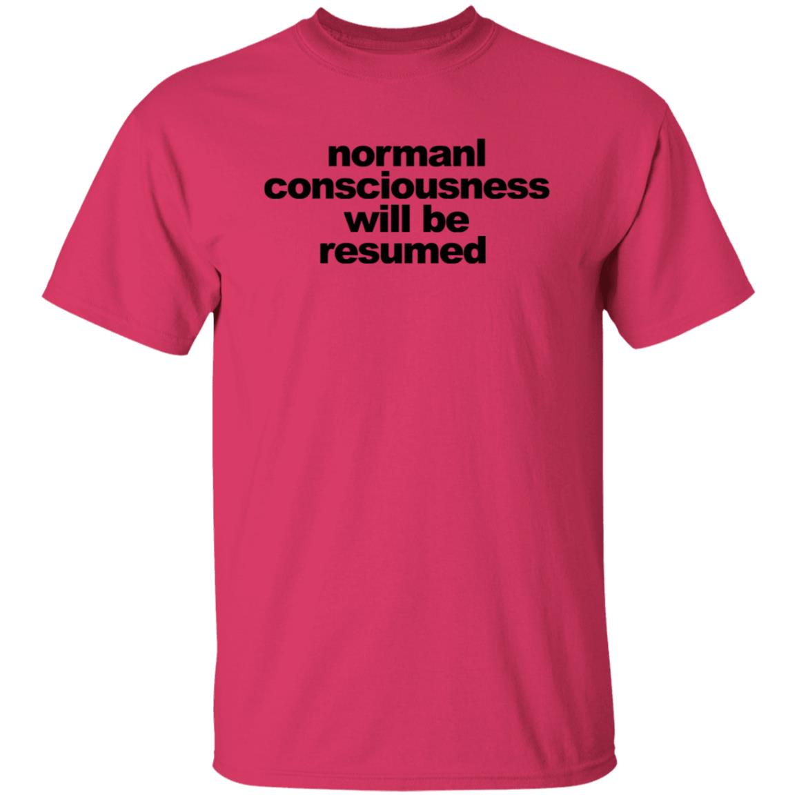 Normal Consciousness Will Be Resumed Shirt Lesley-Ann Brandt Lucifer shirt - Teechipus