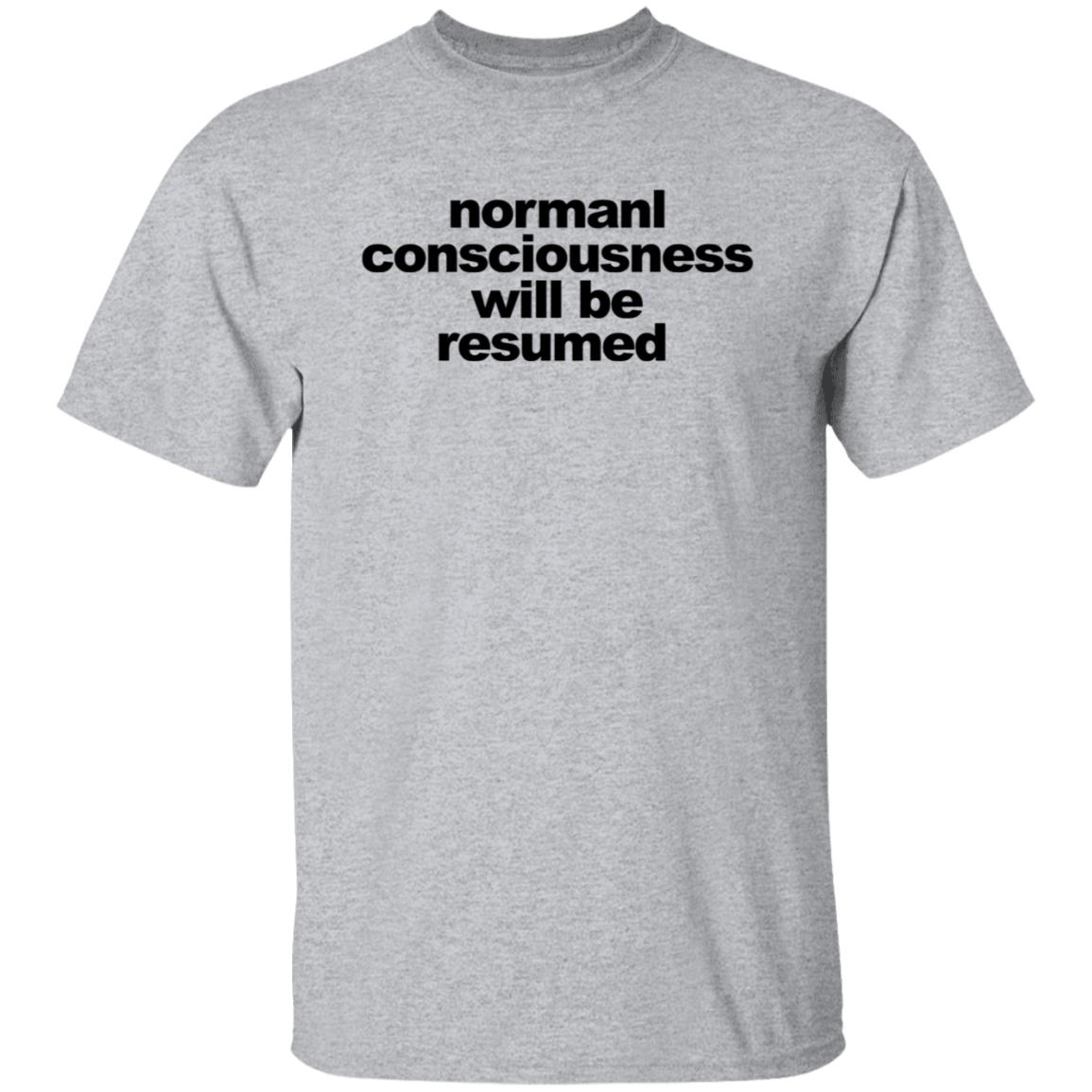 Normal Consciousness Will Be Resumed Shirt Lesley-Ann Brandt Lucifer shirt - Teechipus