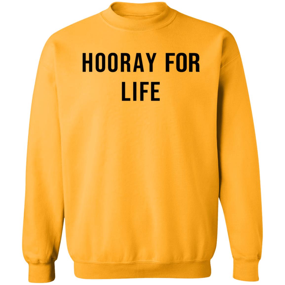 Julie Rohr Hooray For Life Shirt B Unlimited Merch Hooray For Life Shirt Hoodie Sweatshirt - Teechipus