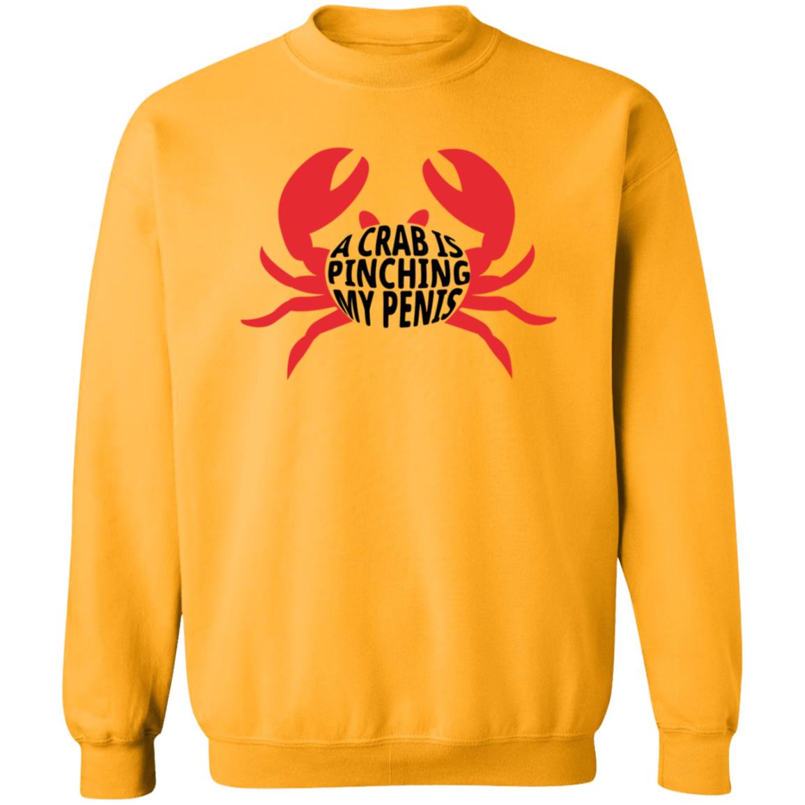 A Crab Is Pinching My Penis Shirt - Teechipus