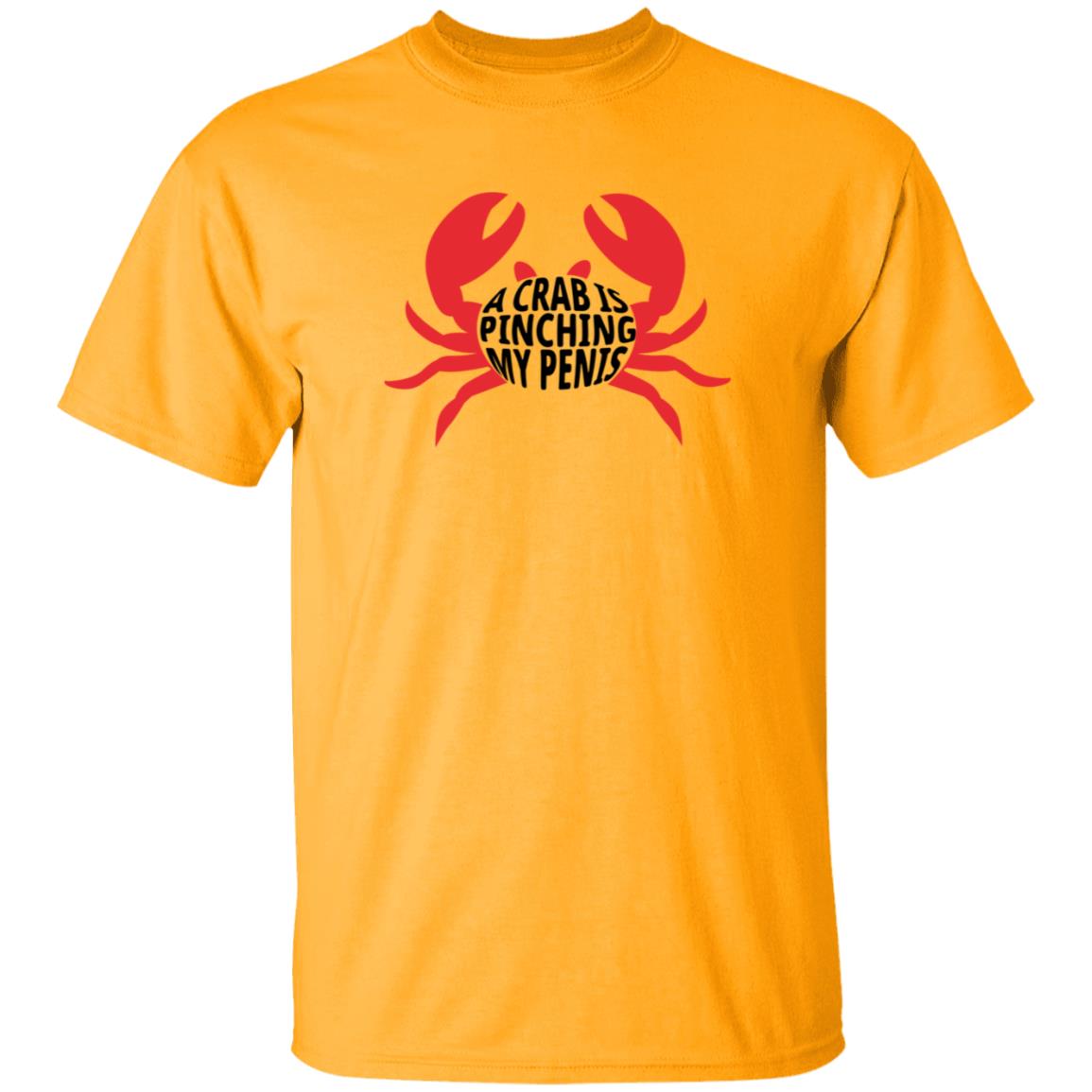 A Crab Is Pinching My Penis Shirt - Teechipus