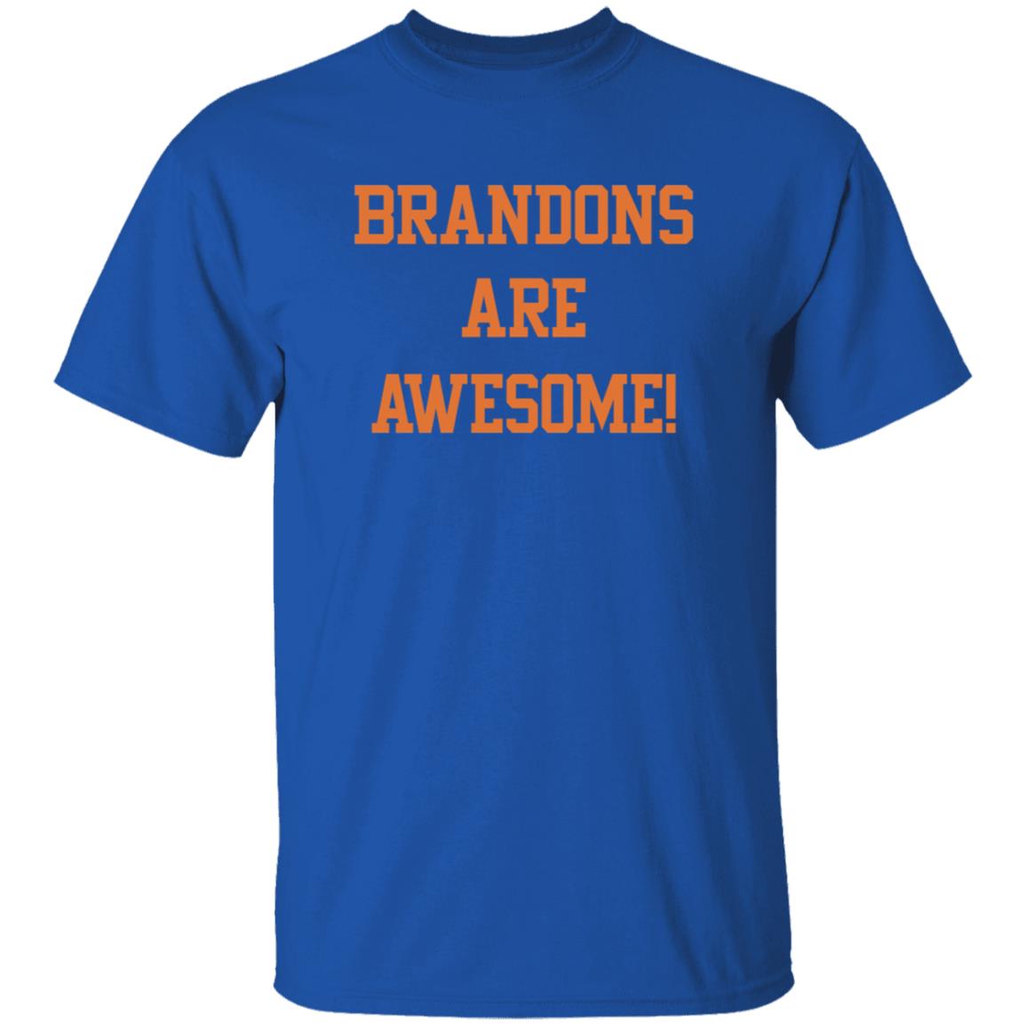 Brandons Are Awesome Shirt Thefriscobay Brandons Are Awesome Shirt Hoodie Sweatshirt - Teechipus
