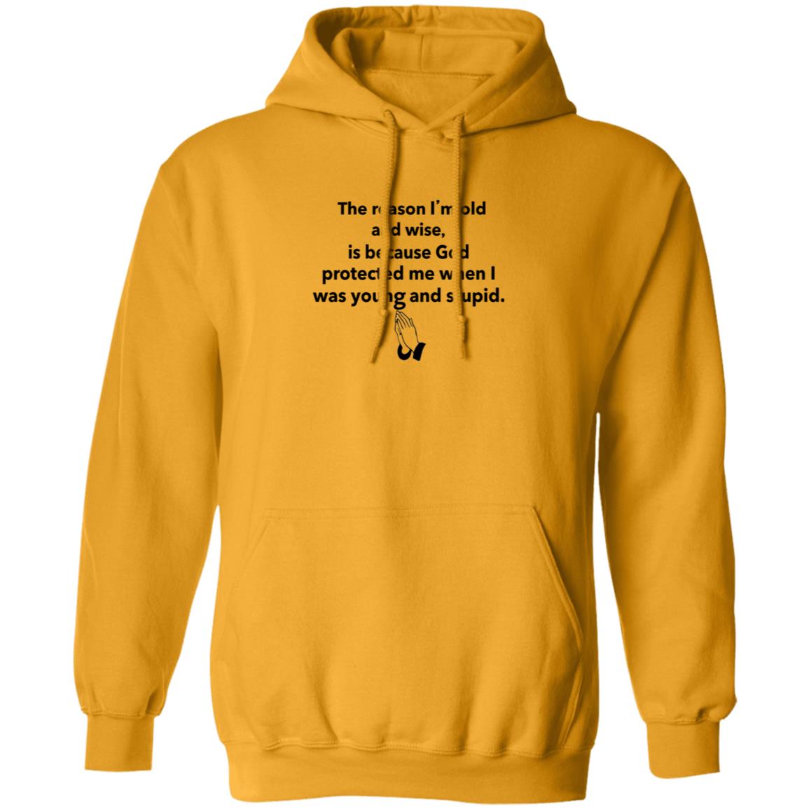 The Reason I'm Old And Wise Is Because God Protected Me Shirt Hoodie Sweatshirt - Teechipus