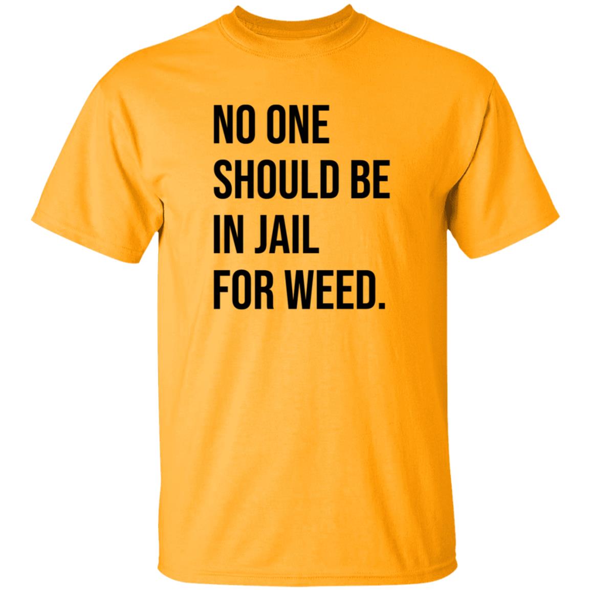 We Go High Shop No One Should Be In Jail For Weed Shirt Gisele Barreto Fetterman - Teechipus
