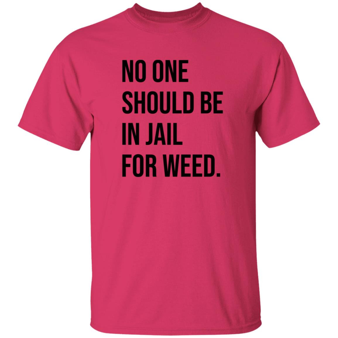We Go High Shop No One Should Be In Jail For Weed Shirt Gisele Barreto Fetterman - Teechipus