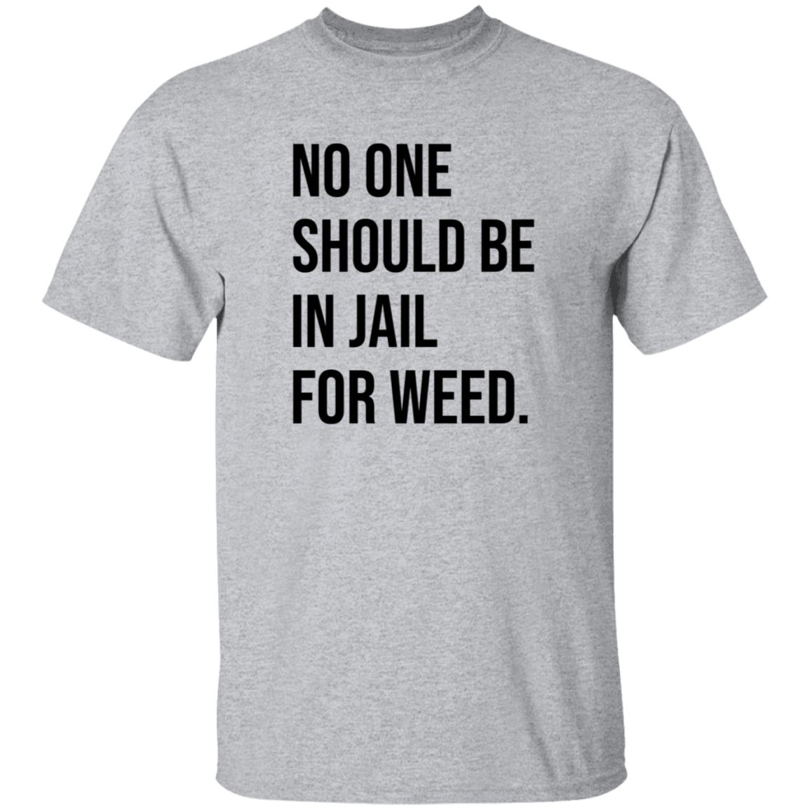 We Go High Shop No One Should Be In Jail For Weed Shirt Gisele Barreto Fetterman - Teechipus
