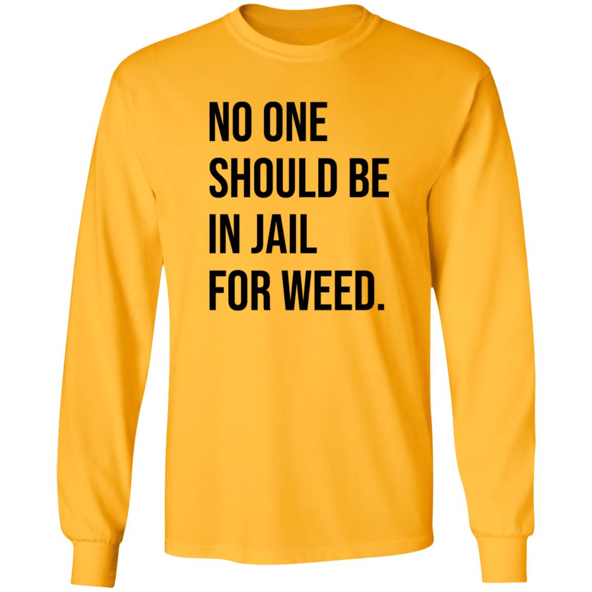 We Go High Shop No One Should Be In Jail For Weed Shirt Gisele Barreto Fetterman - Teechipus