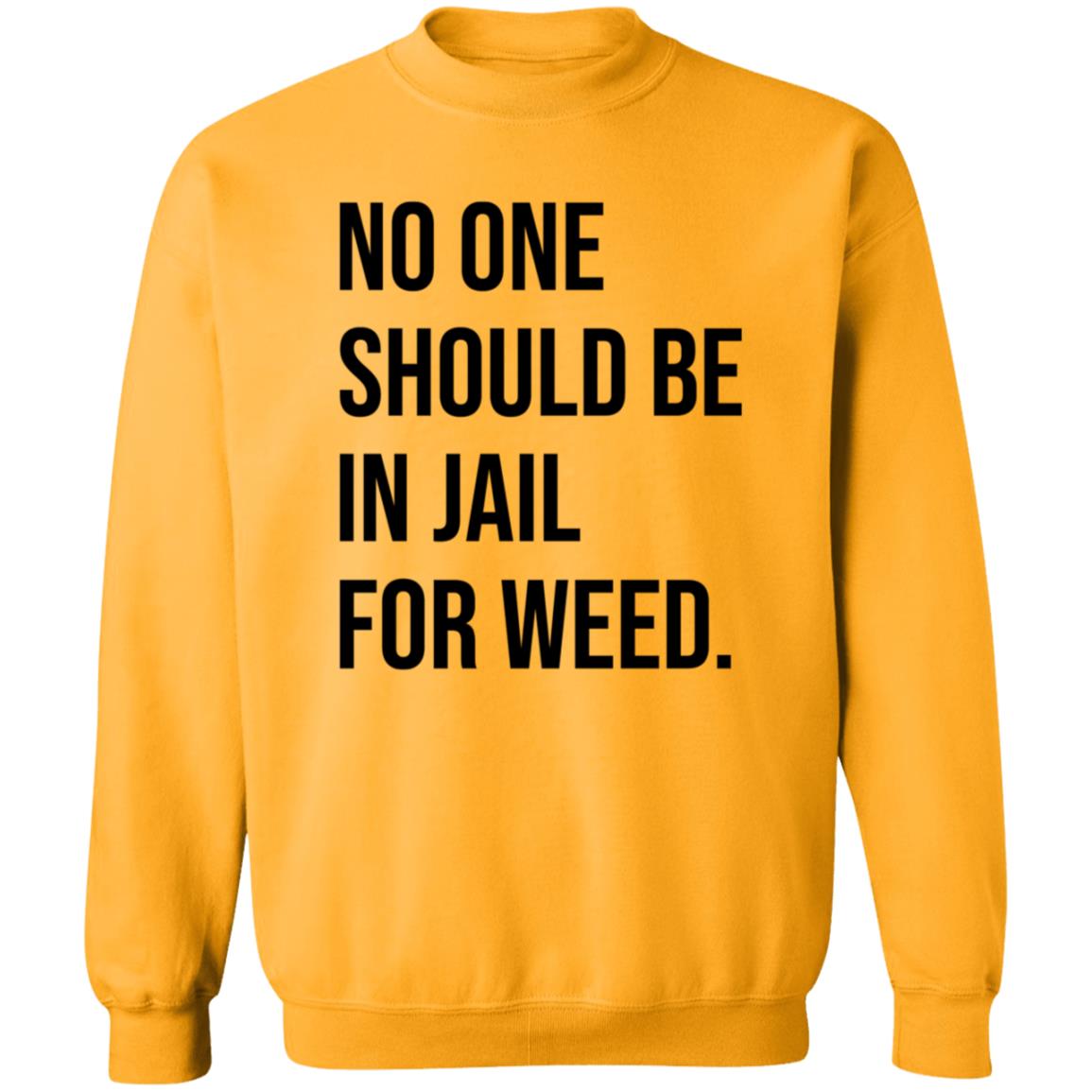 We Go High Shop No One Should Be In Jail For Weed Shirt Gisele Barreto Fetterman - Teechipus
