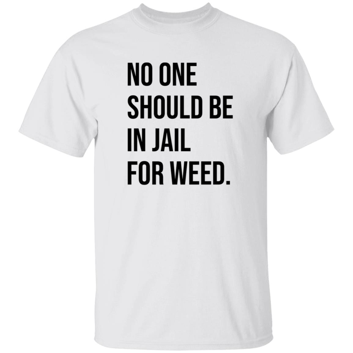 We Go High Shop No One Should Be In Jail For Weed Shirt Gisele Barreto Fetterman - Teechipus
