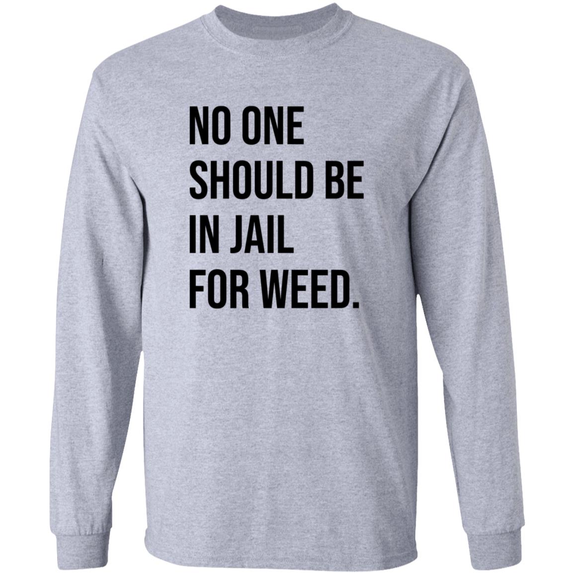 We Go High Shop No One Should Be In Jail For Weed Shirt Gisele Barreto Fetterman - Teechipus