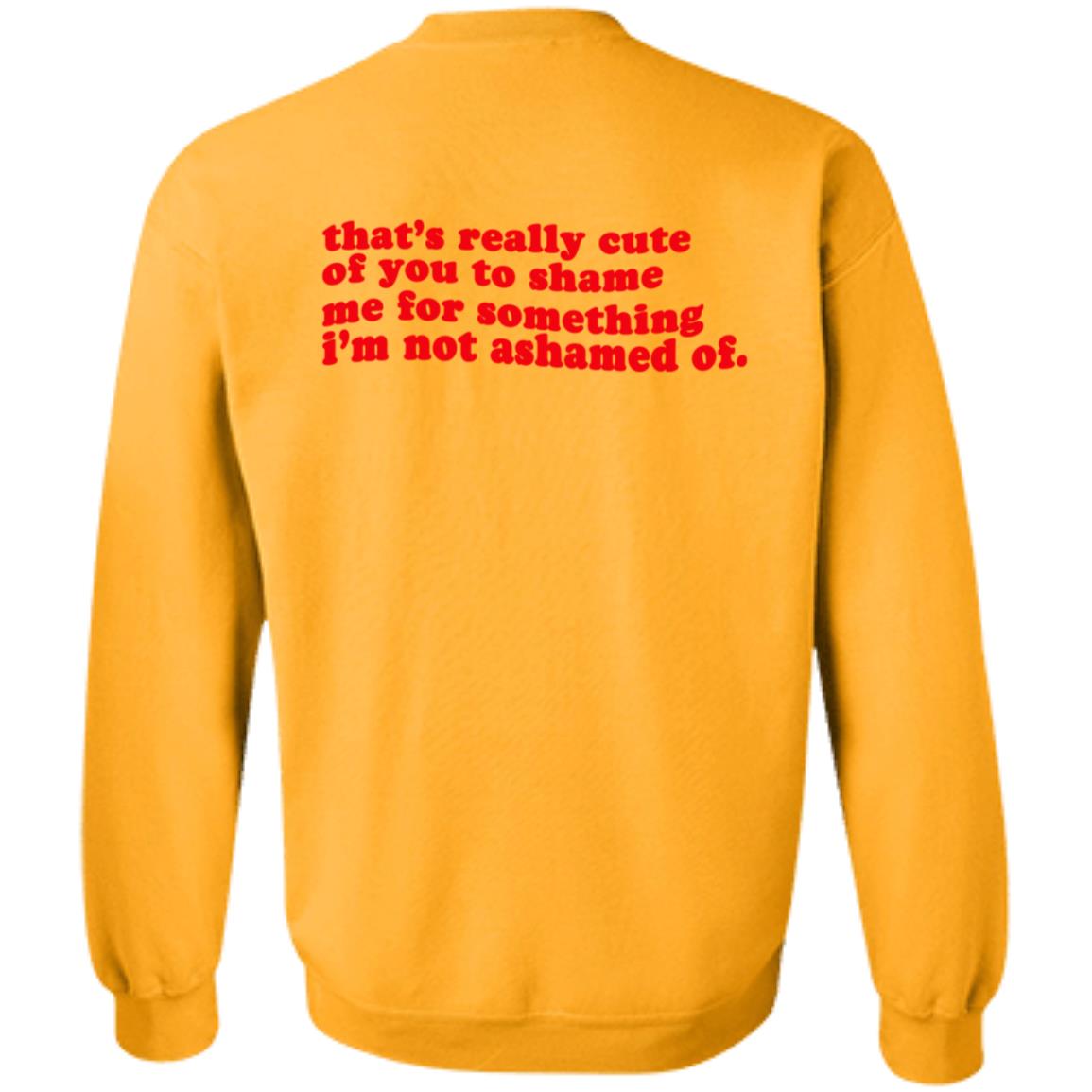 What Flaws Shirt Ayn Bernos Ideologie Merch What Flaws T Shirt By Morena The Label - Teechipus