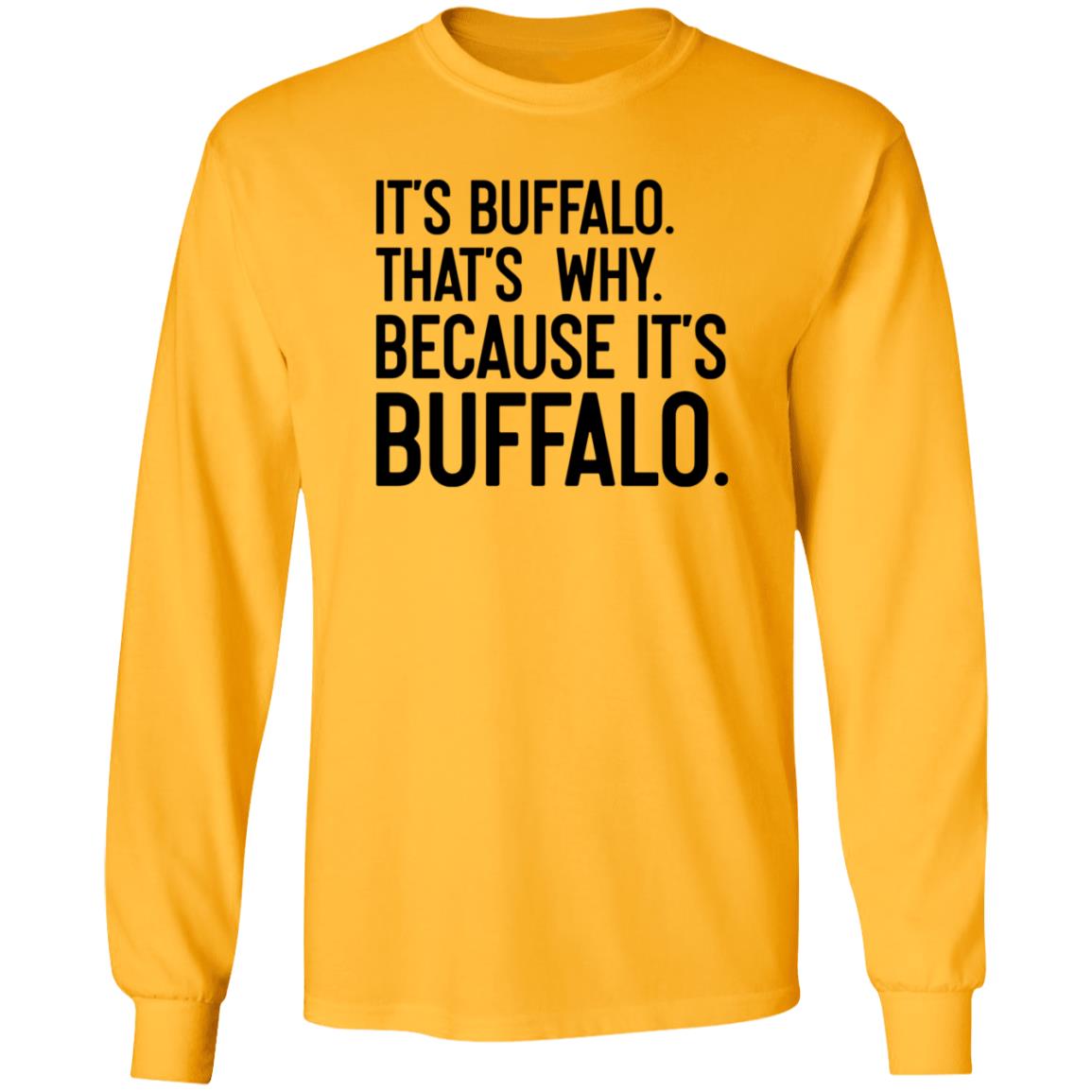 News 4 Buffalo It's Buffalo That's Why Because It's Buffalo Shirt Hoodie Sweatshirt - Teechipus